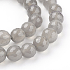 Natural Grey Agate Beads G-A047-1-3