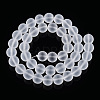 Transparent Glass Beads Strands GLAA-T032-T10mm-MD13-3
