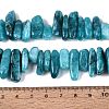 Dyed Natural Quartz Beads Strands G-Q606-24A-03-4
