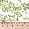 MIYUKI Round Rocailles Beads SEED-X0055-RR0341-4