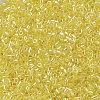 MIYUKI Delica Beads SEED-X0054-DB0171-3