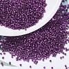 MIYUKI Delica Beads X-SEED-J020-DB0463-1