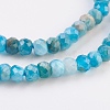 Natural Apatite Beads Strands G-F568-097-A-3