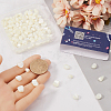 100Pcs Natural Trochid Shell/Trochus Shell Beads BSHE-SC0001-16C-3