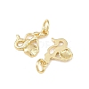 Brass Pendants KK-Z132-03G-03-2
