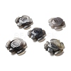 Natural Agate Sea Turtle Figurines Statues for Home Office Tabletop Decoration DJEW-A014-03-1