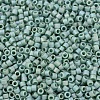 MIYUKI Delica Beads SEED-X0054-DB2313-3