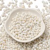 Baking Paint Glass Seed Beads X1-SEED-F006-01A-15-2