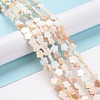 Natural Freshwater Shell Beads Strands SHEL-H002-03G-2