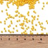 Baking Paint Glass Seed Beads SEED-S042-05B-82-4