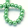 Baking Paint Pearlized Glass Pearl Round Bead Strands HY-Q003-6mm-69-4