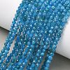 Natural Apatite Beads Strands G-Z160-A01-4mm-2