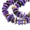 Natural Charoite Beads Strands G-E569-K04-3