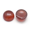 Natural Carnelian Cabochons G-P393-R03-10mm-2