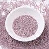MIYUKI Delica Beads SEED-J020-DB0256-2