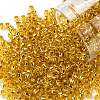 TOHO 8/0 Round Beads SEED-JPTR08-0752-1