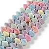 Natural Rainbow Alashan Agate Beads Strands G-NH0022-I01-01-1