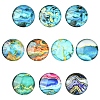 Glass Marbleize Cabochons GGLA-YW0002-01-1