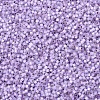 MIYUKI Delica Beads X-SEED-J020-DB0629-3