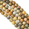 Natural Crazy Lace Agate Round Bead Strands G-M272-03-10mm-3