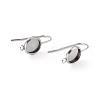 304 Stainless Steel Earring Hooks STAS-F271-01A-P-2