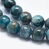 Natural Apatite Beads G-E481-05-6mm-3