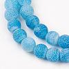 Natural Weathered Agate Beads Strands G-G589-8mm-14-6