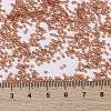 MIYUKI Round Rocailles Beads SEED-JP0010-RR0553-4