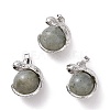 Natural Labradorite Pendants G-G884-D23-FF-1