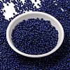 MIYUKI Round Rocailles Beads SEED-JP0009-RR4493-2
