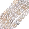 Tibetan Style dZi Beads Strands G-C133-A04-02-1