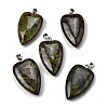 Natural Dragon Blood Pendants G-F820-04P-02-1