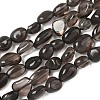 Natural Ice Obsidian Beads Strands X-G-P497-01A-15-2