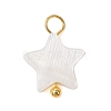 Natural Freshwater Shell Pendants PALLOY-JF02416-02-2
