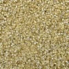 MIYUKI Delica Beads SEED-J020-DB1212-3