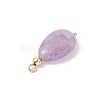 4Pcs 4 Styles Natural Amethyst & Rose Quartz & Green Aventurine & Dyed Quartz Teardrop Charms with Brass Bails PALLOY-JF04268-01-5