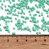 Baking Paint Glass Seed Beads X-SEED-S042-05B-60-4
