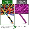 FGB 12/0 Grade A Glass Seed Beads X-SEED-Q009-FJXM-2
