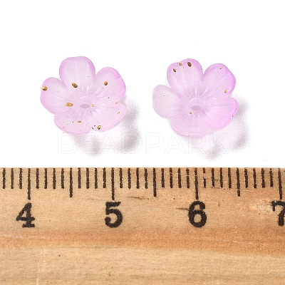 Acrylic Bead Caps OACR-Z028-03A-1