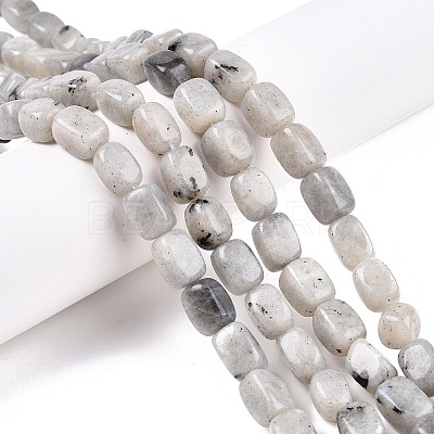 Natural Labradorite Beads Strands G-T138-85-1