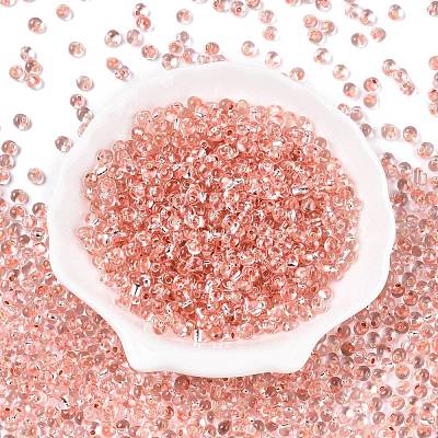 6/0 Baking Paint Transparent Fringe Glass Seed Beads SEED-N006-06E-1