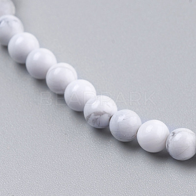Natural Howlite Beads Strands TURQ-G091-8mm-1