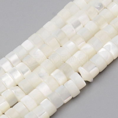 Natural Trochid Shell/Trochus Shell Beads Strands SHEL-R049-024-1