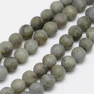Natural Labradorite Frosted Bead Strands G-O155-04A-8mm-1