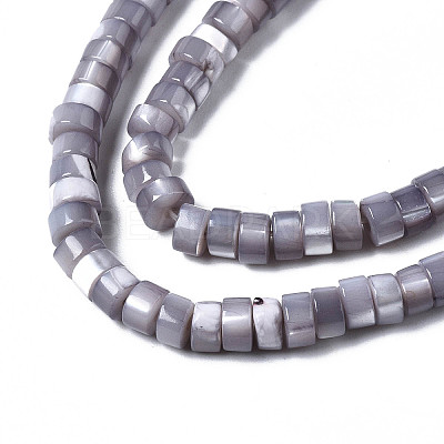 Natural Trochus Shell Beads Strands X-SHEL-S278-027J-1