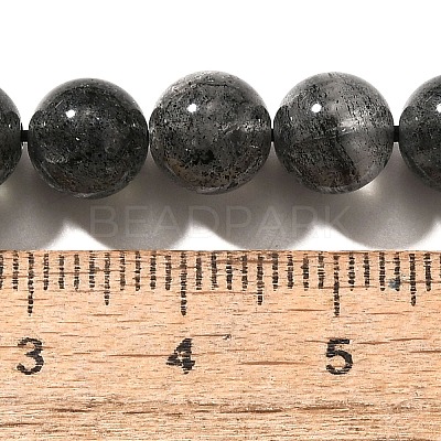 Natural Biotite Beads Strands G-F784-A03-02-1