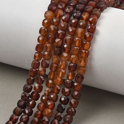 Gradient Color Natural Garnet Beads Strands G-D103-C06-1