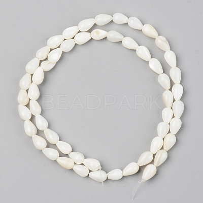 Natural Freshwater Shell Beads Strands X-SSHEL-R048-007B-1