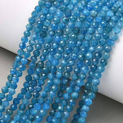 Natural Apatite Beads Strands G-Z160-A01-4mm-1