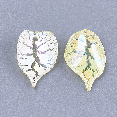 Acrylic Pendants CACR-Q034-10C-1
